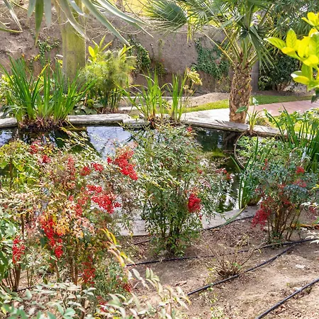 Lejlighed Casablanca 25 Oasis