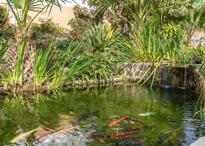 Lejlighed Casablanca 25 Oasis *