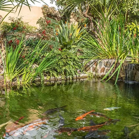 Διαμέρισμα Casablanca 25 Oasis *