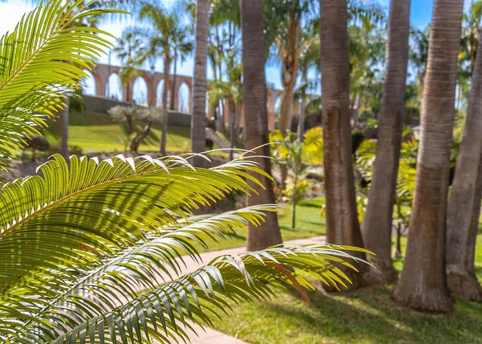 Casablanca 25 Oasis *