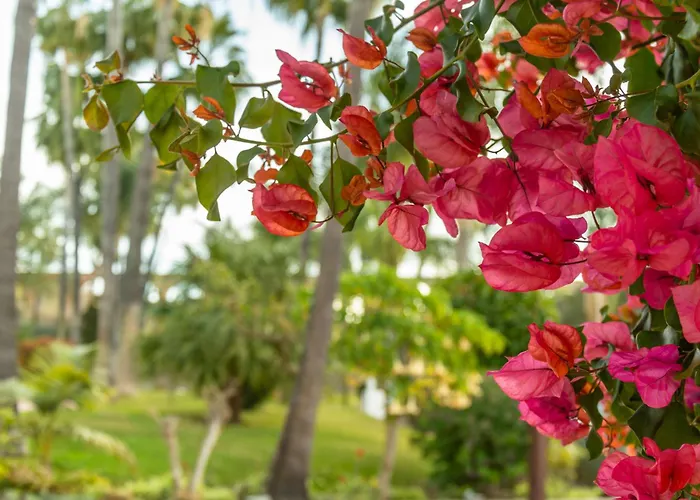 公寓 Casablanca 25 Oasis 内尔哈